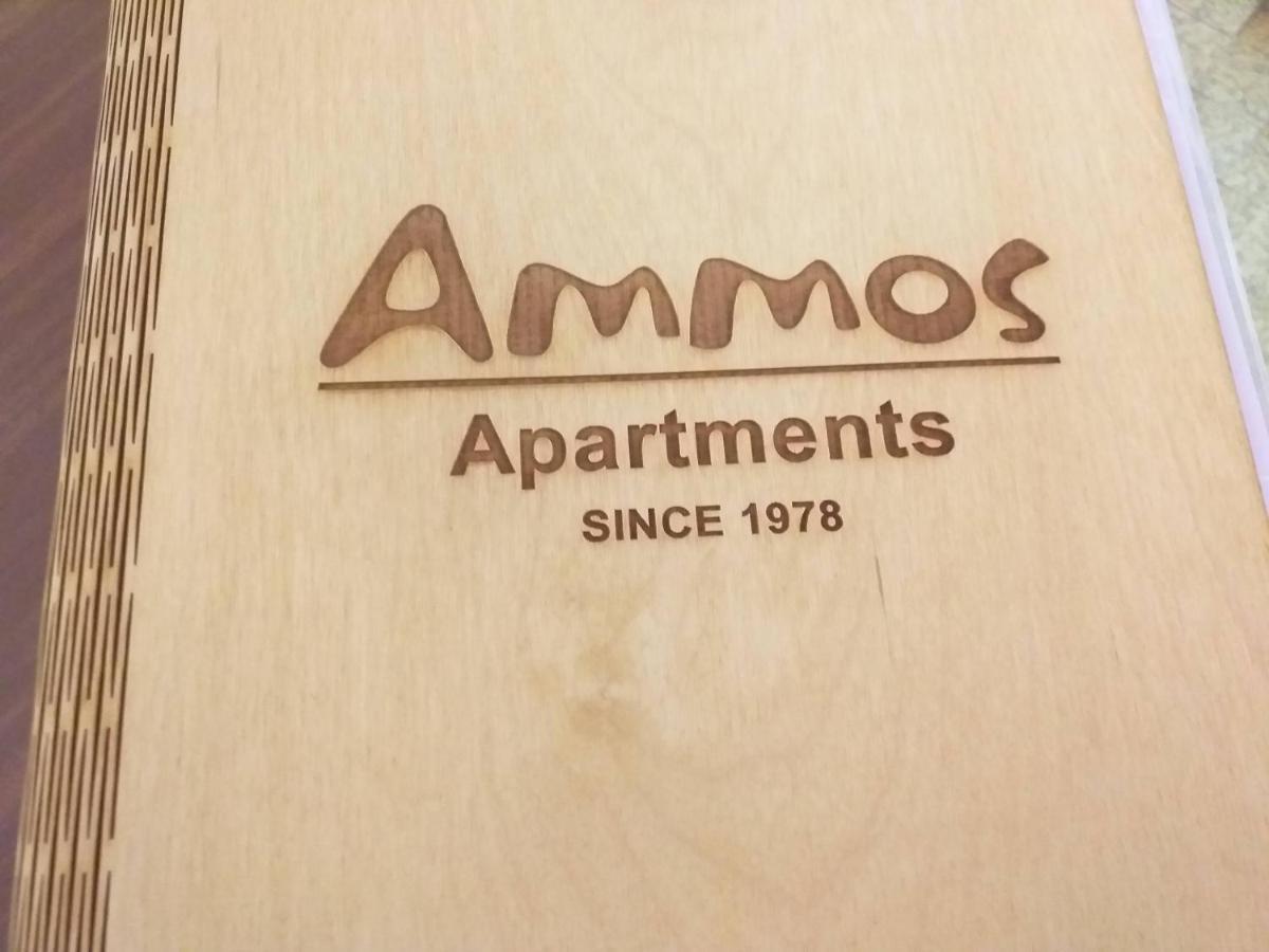 Ammos Apartments 圣尼古拉奥斯 外观 照片